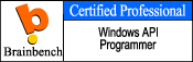 windowsapiprogrammer.gif (2759 bytes)